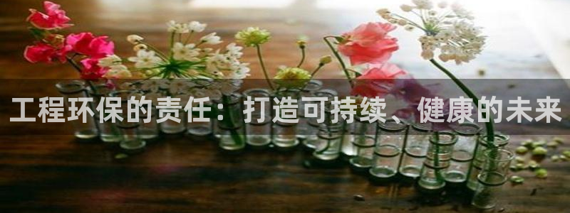 彩名堂客户端是永久免费吗：工程环保的