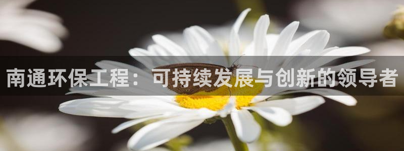 如何进入彩名堂官网更新：南通环保工程
