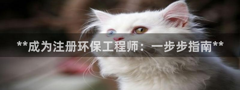彩名堂人工计划怎么找不到下载了?：*
