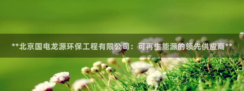 彩名堂50版本计划：**北京国电龙源