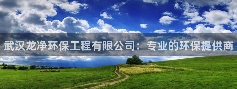 彩名堂人工计划客户端：武汉龙净环保工