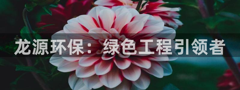 彩名堂3d：龙源环保：绿色工程引领者