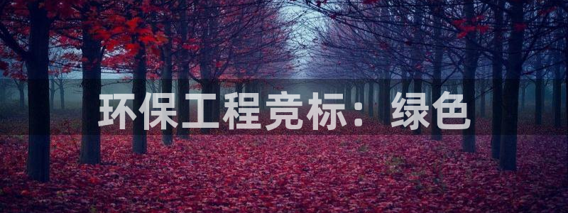 彩名堂5.0计划：环保工程竞标：绿色