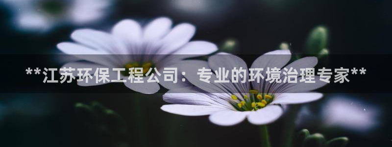 彩名堂使用方法和用量：**江苏环保工