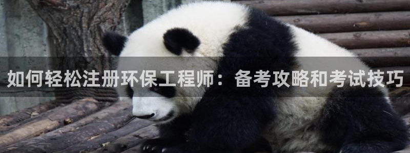 彩名堂客户端官网：如何轻松注册环保工