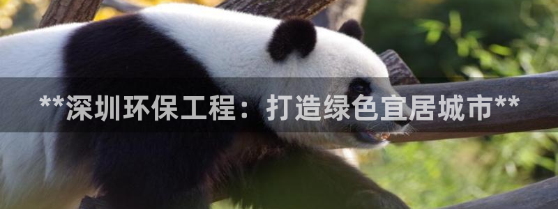 彩名堂计划怎么买胜率高：**深圳环保工程：打造绿色宜居城市**