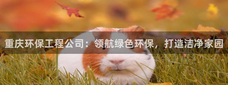 彩名堂计划怎么买胜率高：重庆环保工程