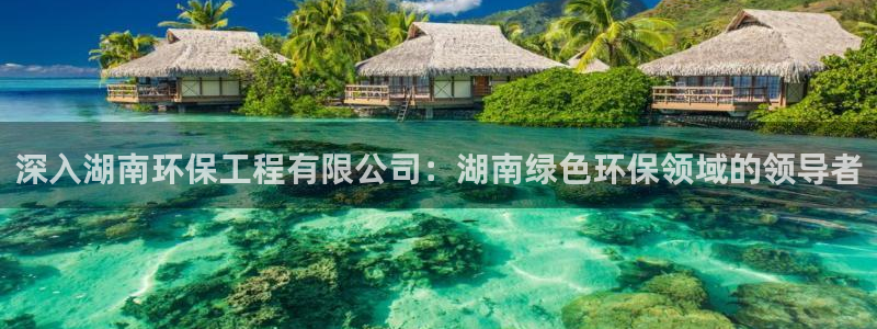 彩名堂免费计划官网怎么进不去了：深入