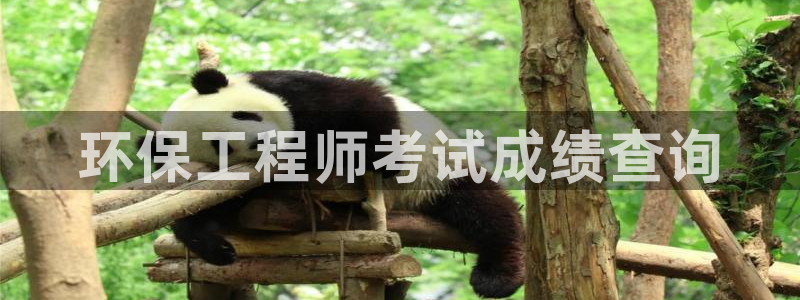 彩名堂计划技巧有哪些：环保工程师考试