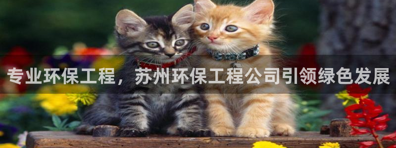 彩名堂是不是不能用了吗：专业环保工程，苏州环保工程公司引领绿色发展