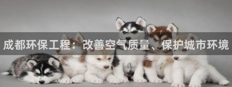 彩名堂一直不出结果怎么回事呢：成都环