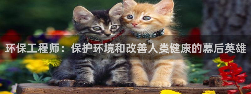 彩名堂5.0：环保工程师：保护环境和