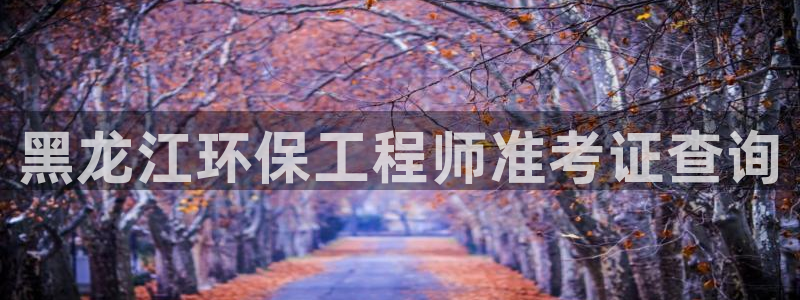 彩名堂使用方法：黑龙江环保工程师准考