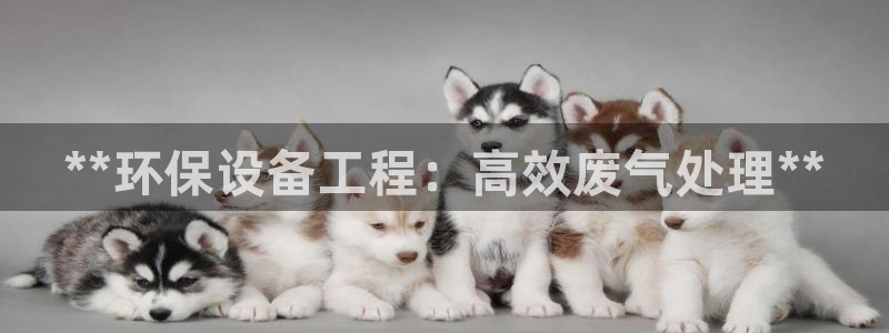 彩名堂是不是坑人的东西：**环保设备