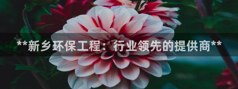 彩名堂手机客户端：**新乡环保工程：