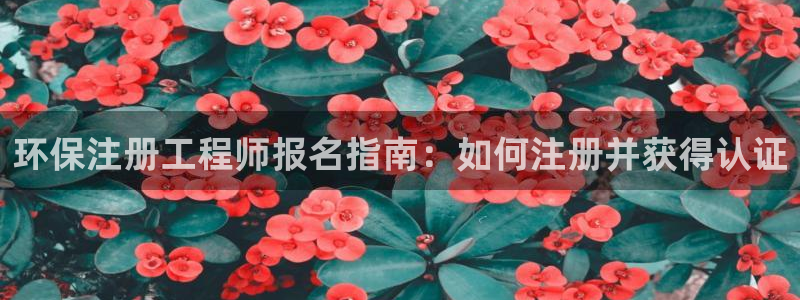 彩名堂使用方法和用量：环保注册工程师