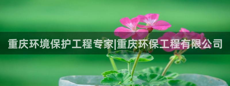 彩名堂计划和01计划怎么很稳：重庆环
