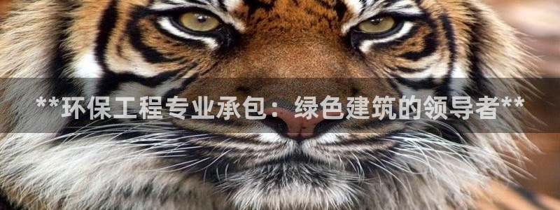 彩名堂5.0版计划怎么用不了：**环