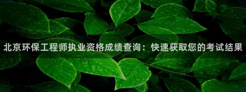 彩名堂975新版本：北京环保工程师执业资格成绩查询：快速获取您的考试结果