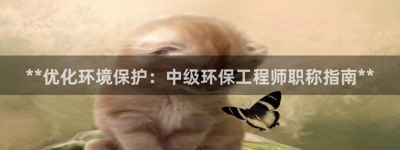 彩名堂怎么跟计划才不连挂在一起：**