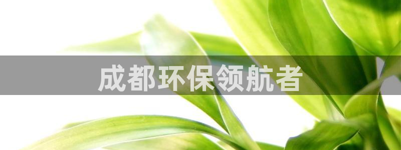 彩名堂手机客户端怎么进不去了：成都环