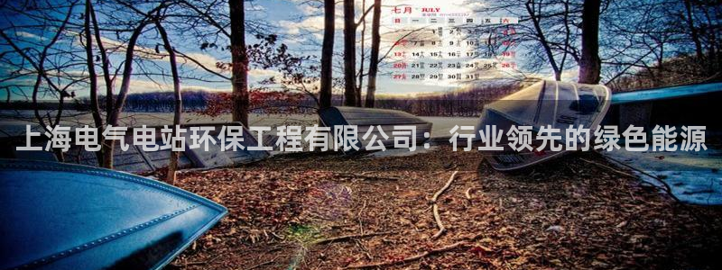 彩名堂计划怎么跟不挂：上海电气电站环