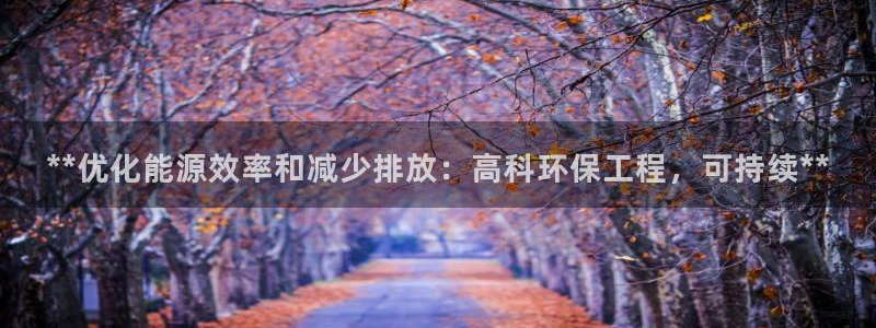 彩名堂网页：**优化能源效率和减少排