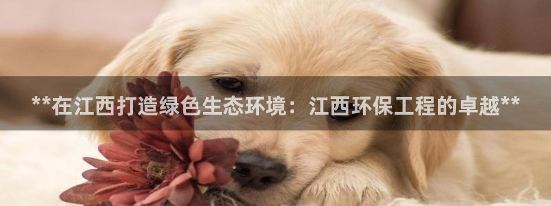 彩名堂是什么：**在江西打造绿色生态