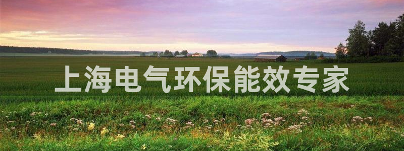 彩名堂怎么打不开了：上海电气环保能效