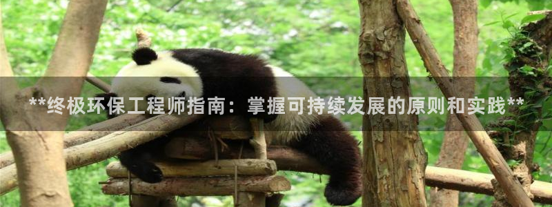 彩名堂官方软件下载：**终极环保工程