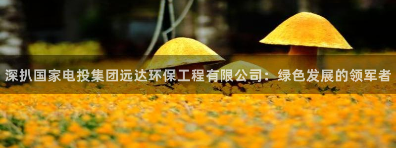 彩名堂计划怎么跟,为什么我一跟就挂：深扒国家电投集团远达环保工程有限公司：绿色发展的领军者