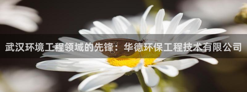 彩名堂官网在线计划：武汉环境工程领域