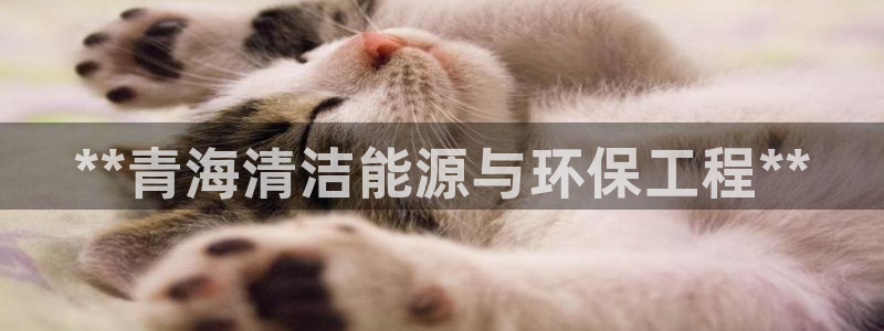 彩名堂官网客户端：**青海清洁能源与