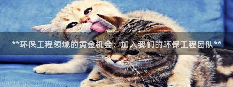 彩名堂是正规的公司吗：**环保工程领
