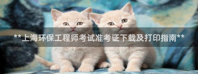 彩名堂免费计划5.0使用方法：**上
