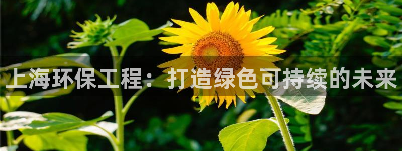 彩名堂好用还是千里马好用：上海环保工程：打造绿色可持续的未来