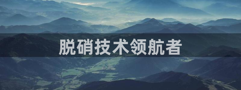 彩名堂人工计划客户端官网：脱硝技术领