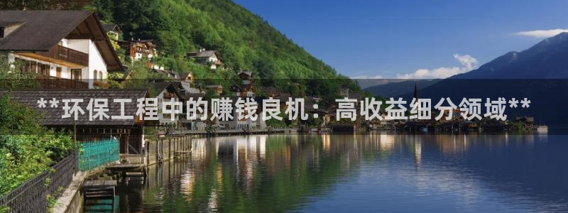 彩名堂App下载：**环保工程中的赚
