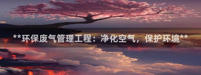 彩名堂APP下载：**环保废气管理工