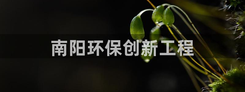 彩名堂最新版www：南阳环保创新工程