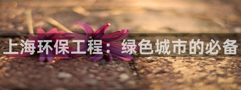 下载苹果手机版彩名堂：上海环保工程：