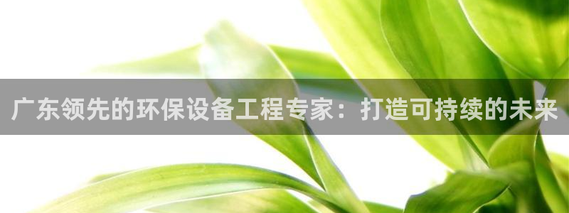 彩名堂到底怎么看,一跟就挂：广东领先的环保设备工程专家：打造可持续的未来