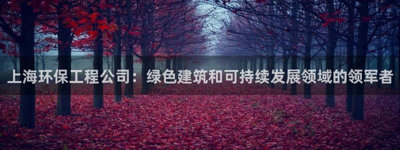 彩名堂客户端加拿大：上海环保工程公司