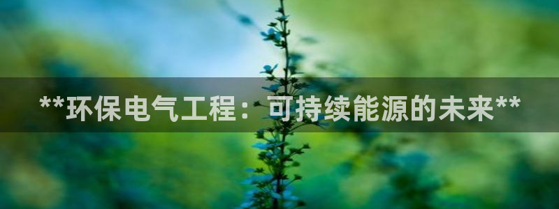 彩名堂双彩网：**环保电气工程：可持