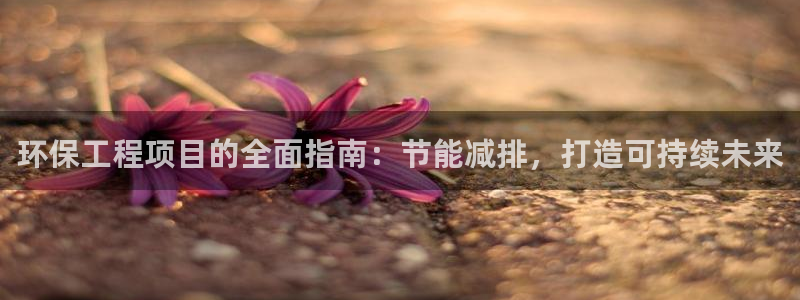 彩名堂使用方法和用量：环保工程项目的全面指南：节能减排，打造可持续未来