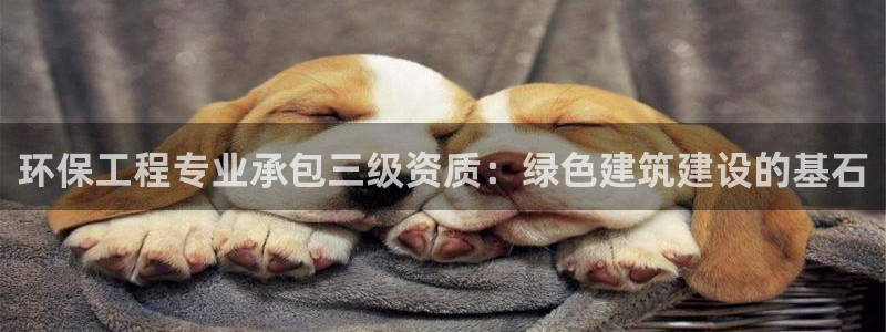 彩名堂下载官网：环保工程专业承包三级