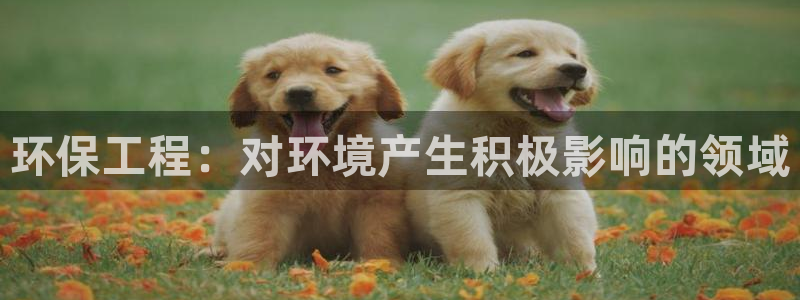 彩名堂官网网页计划：环保工程：对环境