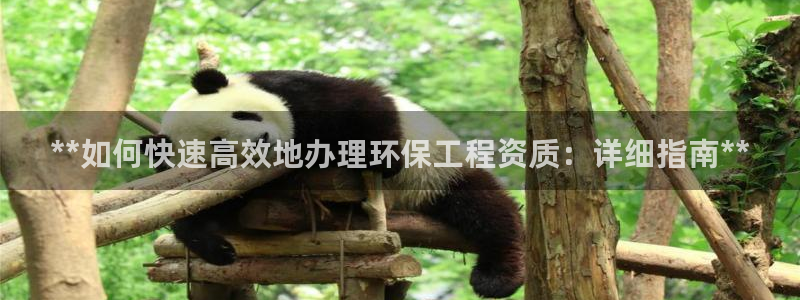 彩名堂排三：**如何快速高效地办理环