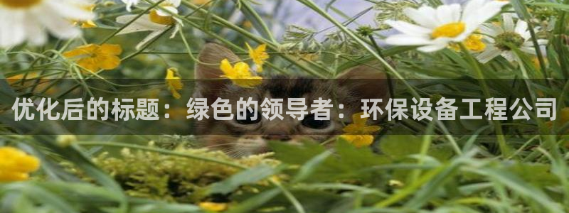 彩名堂免费计划官网5.0app：优化后的标题：绿色的领导者：环保设备工程公司
