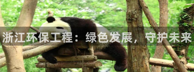 彩名堂预测计划软件：浙江环保工程：绿